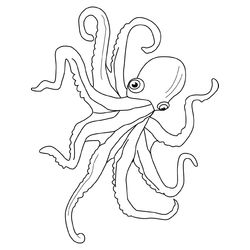 Pulpo #8744