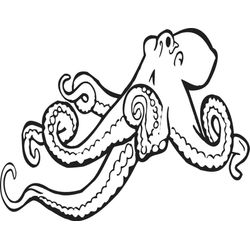 Pulpo #8746