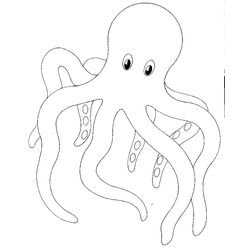 Pulpo #8748