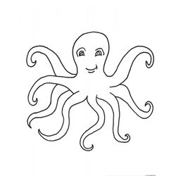 Pulpo #8749