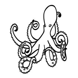 Pulpo #8752