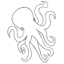 Pulpo #8759