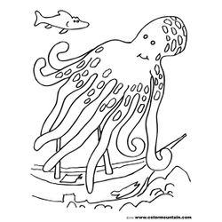Pulpo #8762