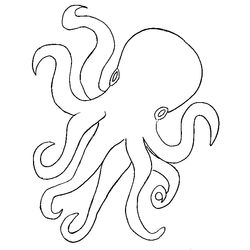 Pulpo #8763