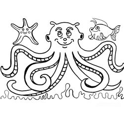 Pulpo #8767