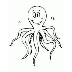 Pulpo #8772