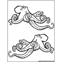 Pulpo #8776