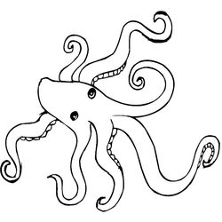 Pulpo #8777