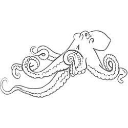 Pulpo #8779