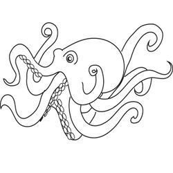 Pulpo #8780