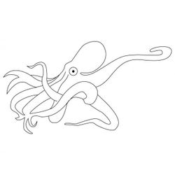 Pulpo #8782
