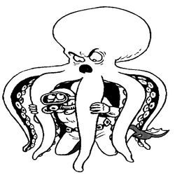 Pulpo #8786