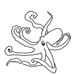 Pulpo #8791