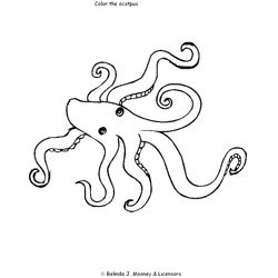 Pulpo #8793