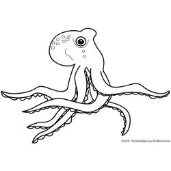 Pulpo #8794