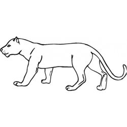 Puma #8818