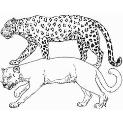 Puma #8819
