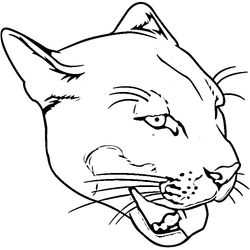 Puma #8821