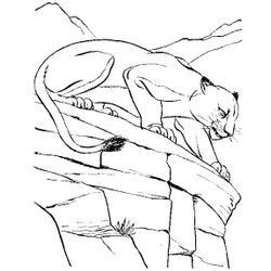 Puma #8828