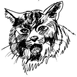 Puma #8829