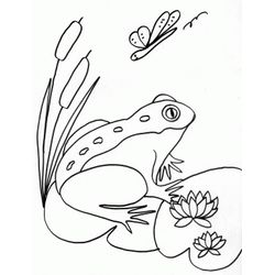 Rana #8863