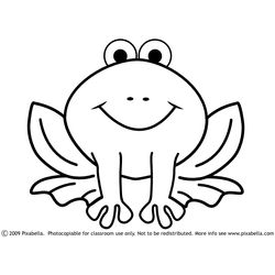Rana #8868