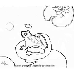 Rana #8935