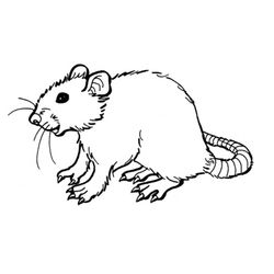 Rata #8960