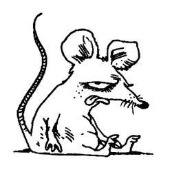 Rata #8963