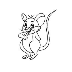 Rata #8964
