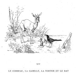 Rata #8985