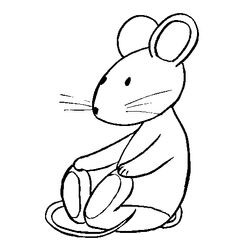 Rata #9001