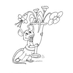 Rata #9005