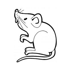 Ratón #9014