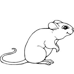 Ratón #9018