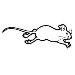 Ratón #9019
