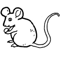 Ratón #9021