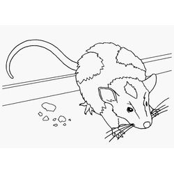 Ratón #9035