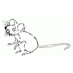 Ratón #9049