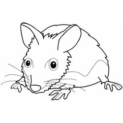 Ratón #9063