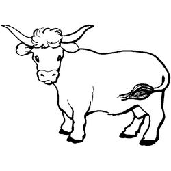Vaca #9076