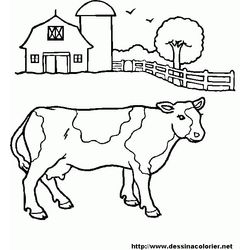 Vaca #9078