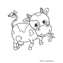 Vaca #9079