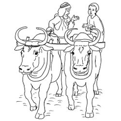 Vaca #9083