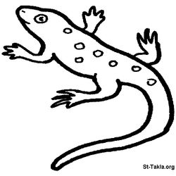 Salamandra #9088