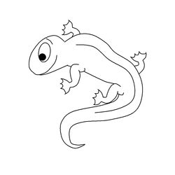 Salamandra #9090