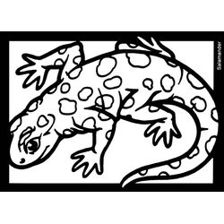 Salamandra #9094