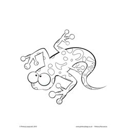 Salamandra #9099