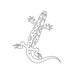 Salamandra #9101