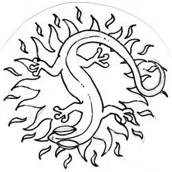 Salamandra #9104